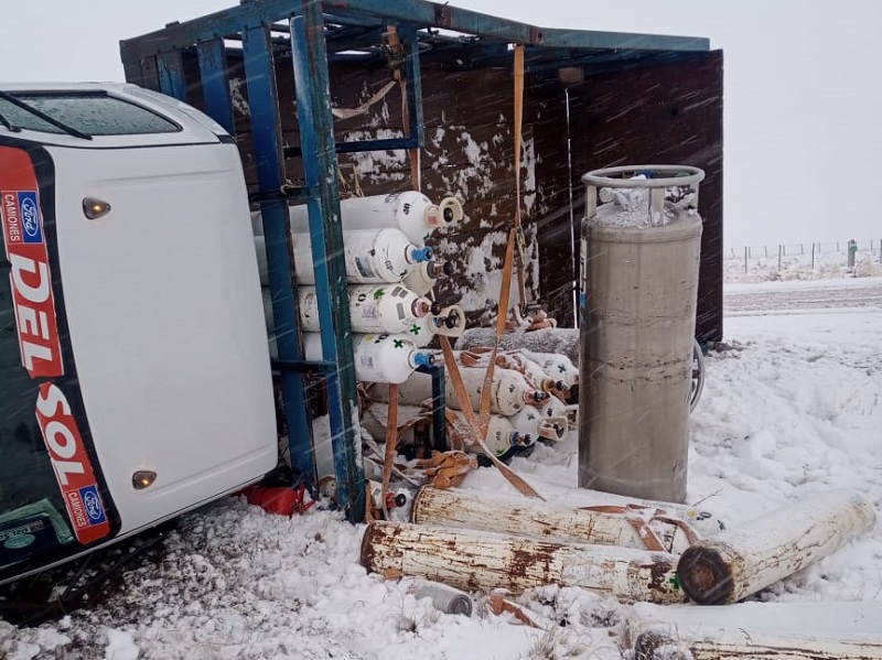 El guanaco en Santa Cruz: entre el desafío ambiental y su potencial nutricional