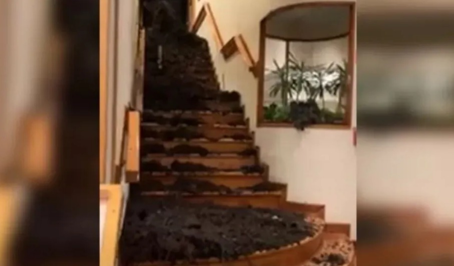 Alud y tragedia en un hotel de Bariloche: hay un muerto, decena de heridos y dos desaparecidos