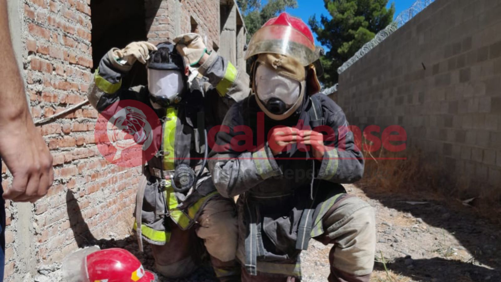 El guanaco en Santa Cruz: entre el desafío ambiental y su potencial nutricional