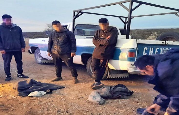 Secuestran 1.000 kilos de carne de guanaco