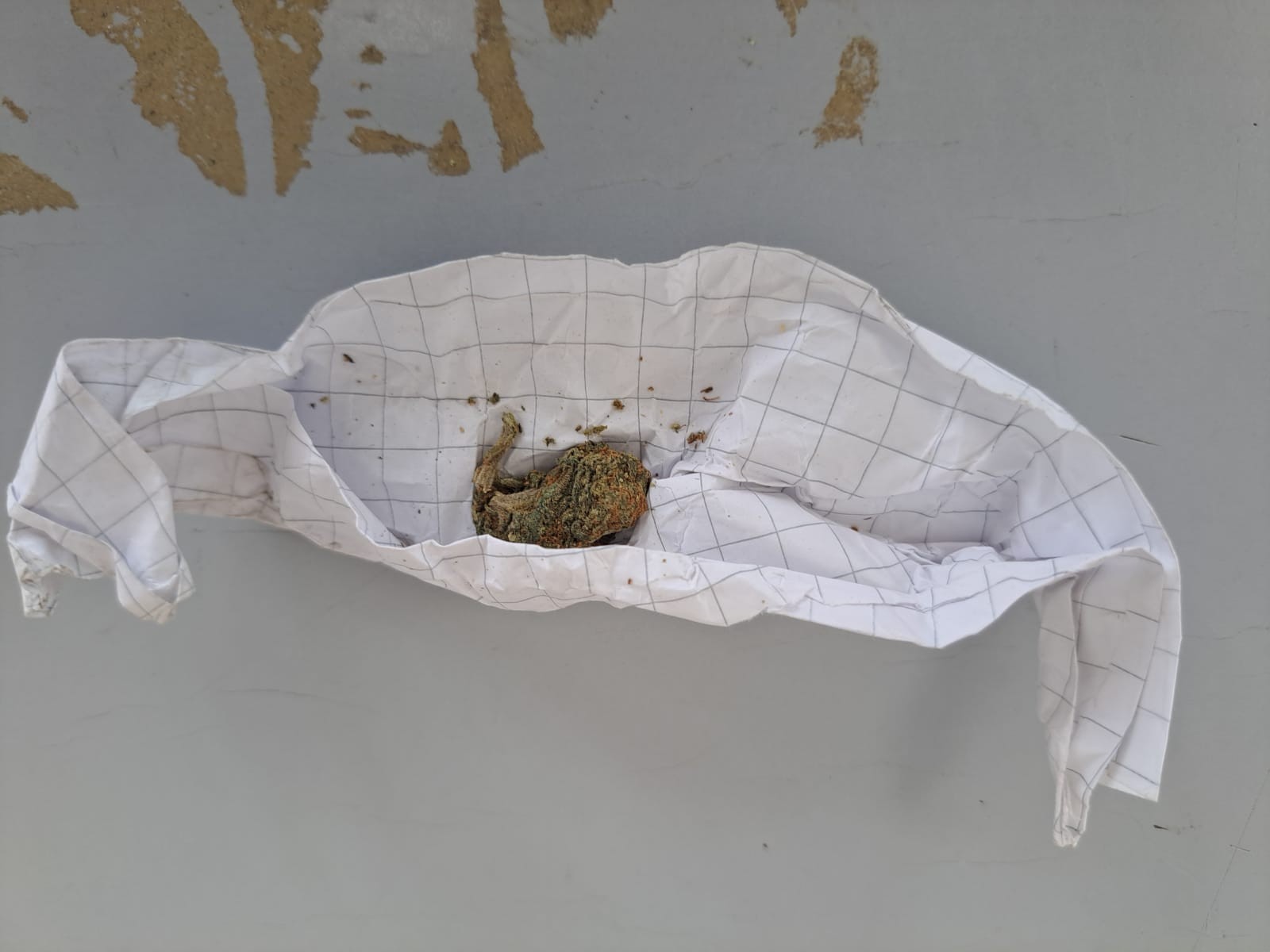 Hallan marihuana y cocaína en los operativos en la Fiesta Nacional del Lago Argentino 