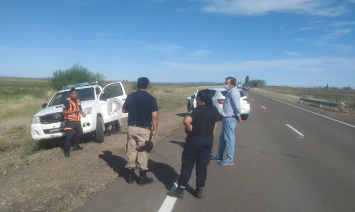 Insólito: un toro suelto en la ruta ocasionó un choque entre un patrullero y otro auto
