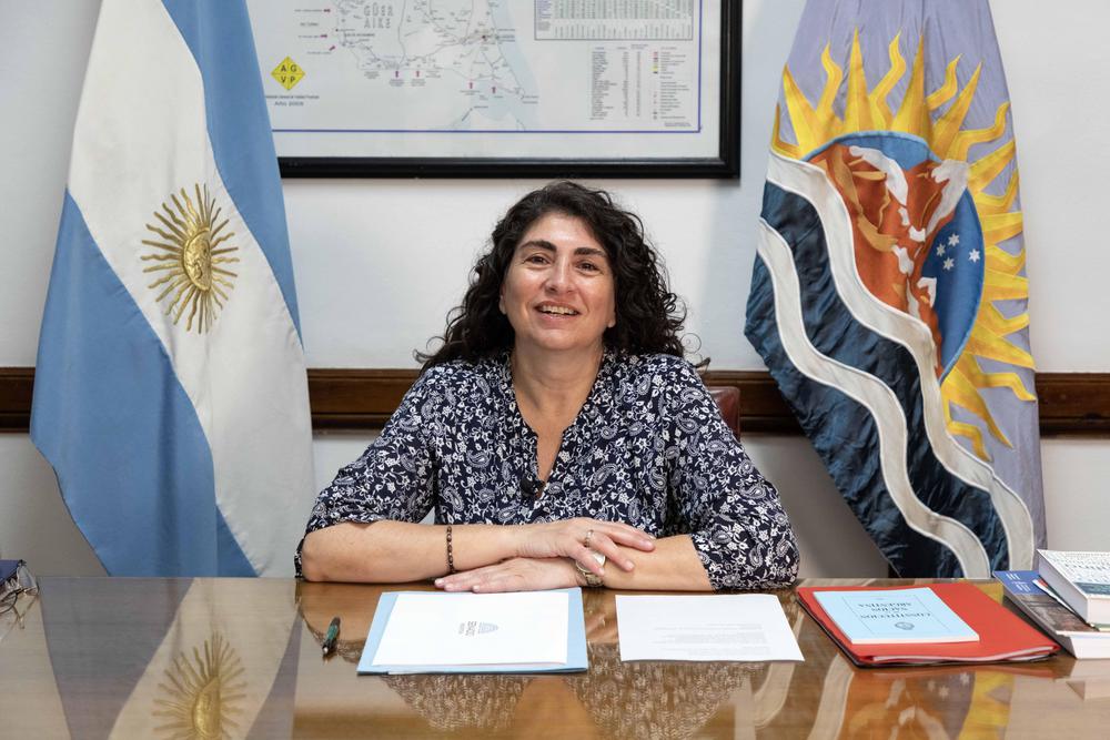 Ianni pidió por YCRT y defendió los subsidios a la zona fría