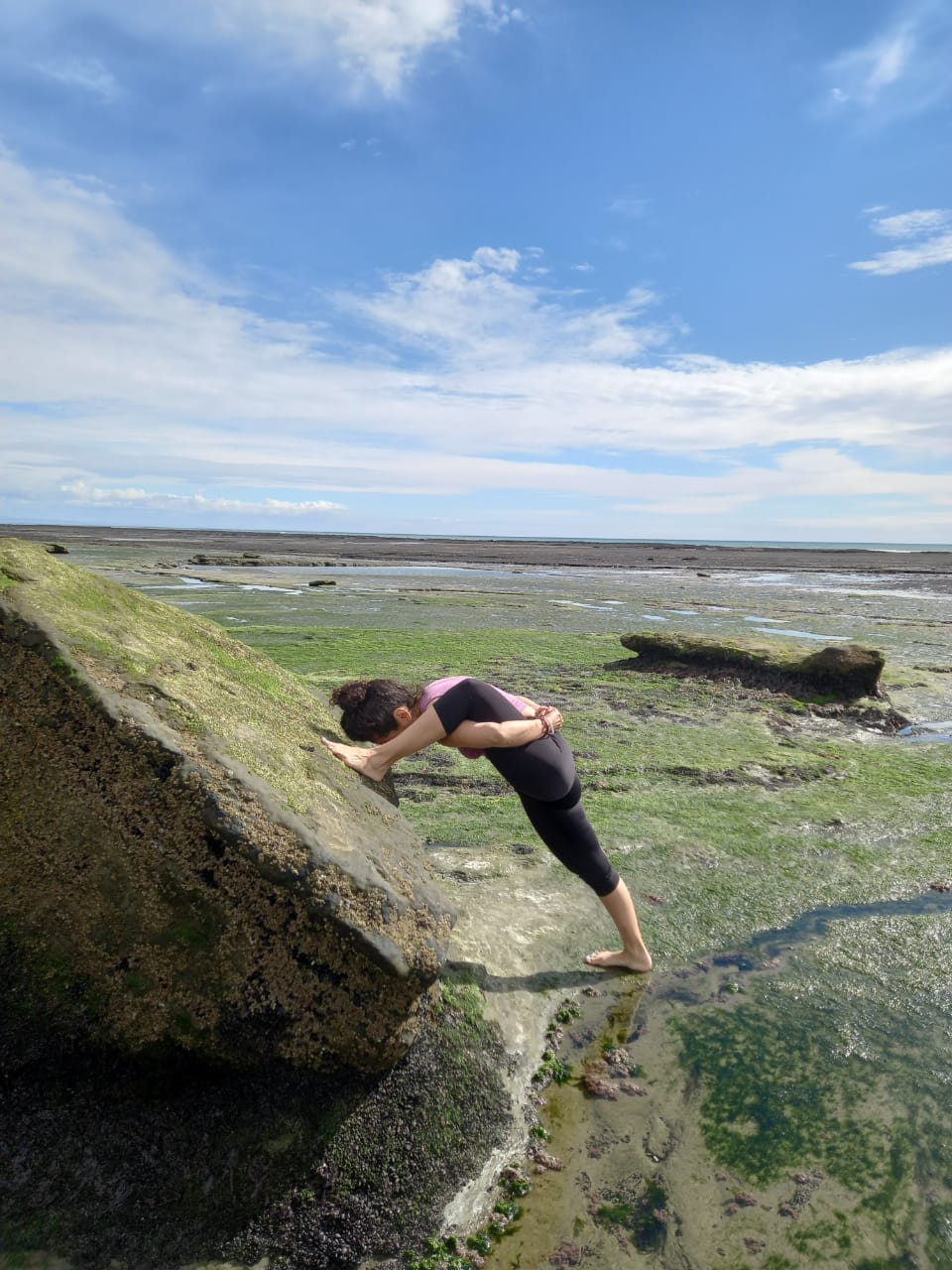 El guanaco en Santa Cruz: entre el desafío ambiental y su potencial nutricional