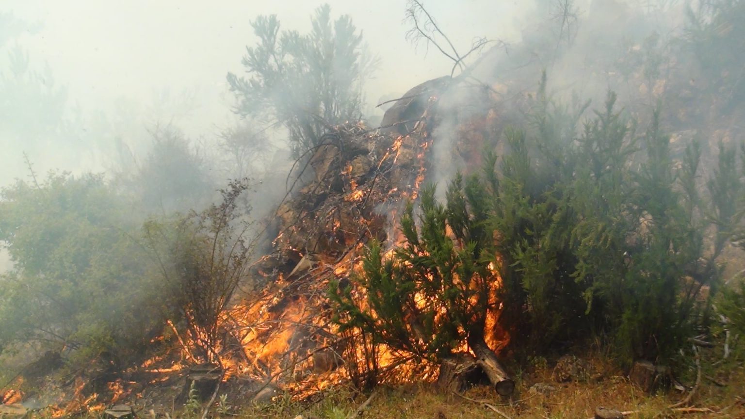Intenso incendio en el cerro Currumahuida entre Lago Puelo y El Hoyo, pone a ambas localidades en alerta