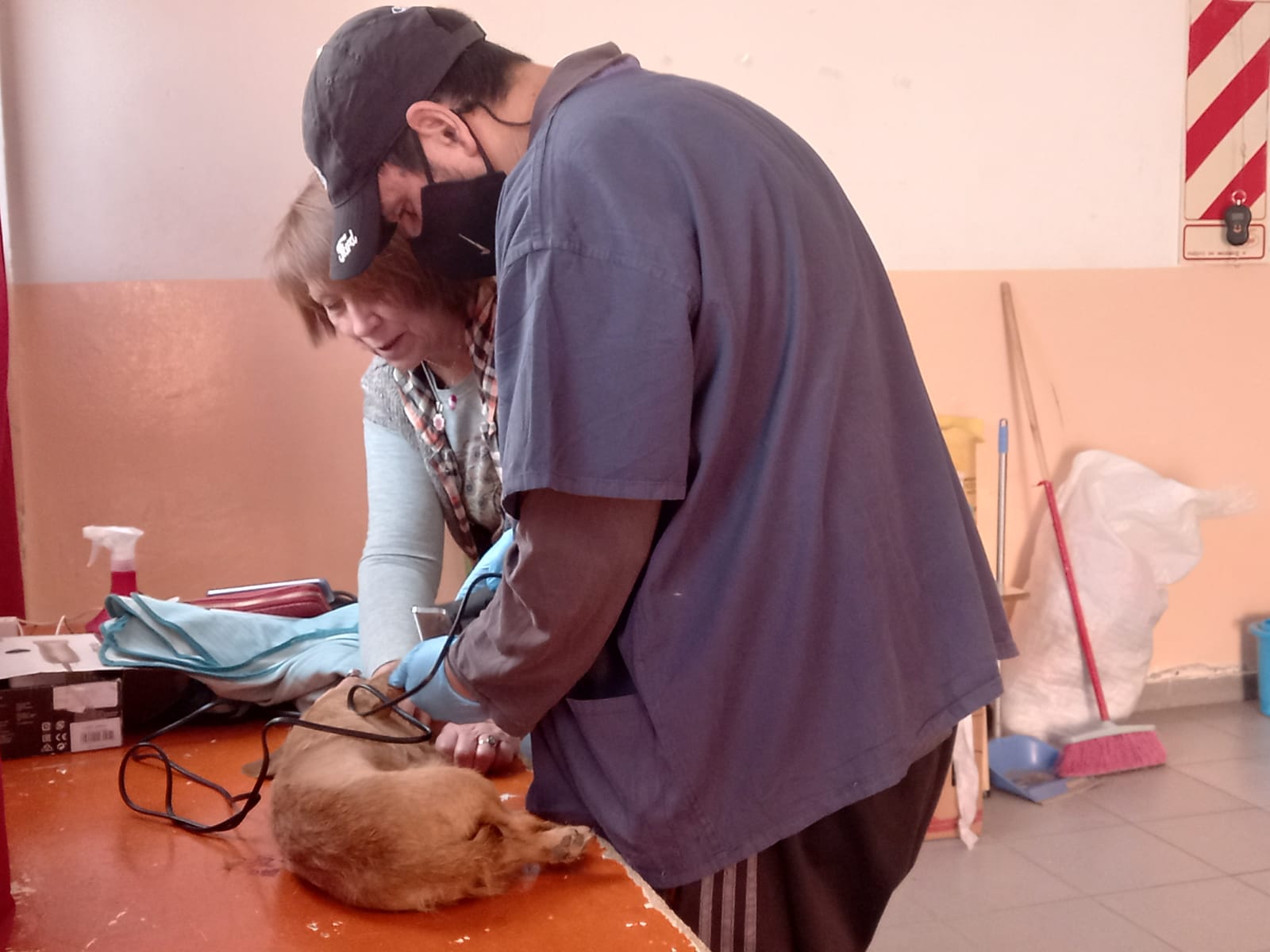 Hasta fin de año estará el Quirófano Móvil en el barrio Vista Hermosa