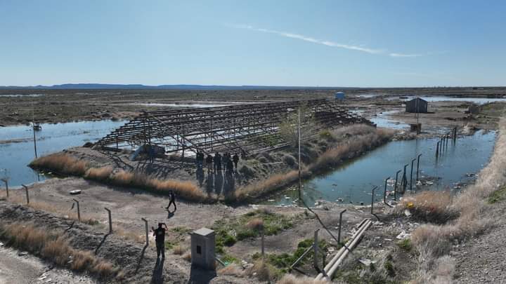 Daura Gold confirmó hallazgo de alta ley en oro y plata en el proyecto La Flora en Santa Cruz