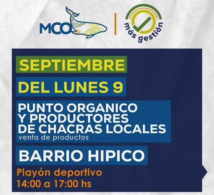 Último día del Programa 