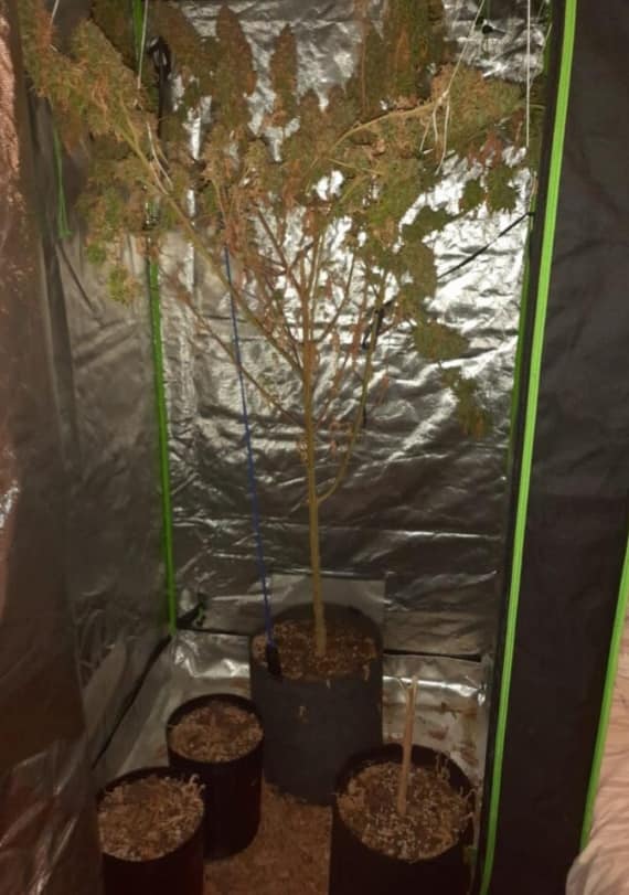 Lugo ganó y mete presión: “APJAM tiene que estar en las paritarias”