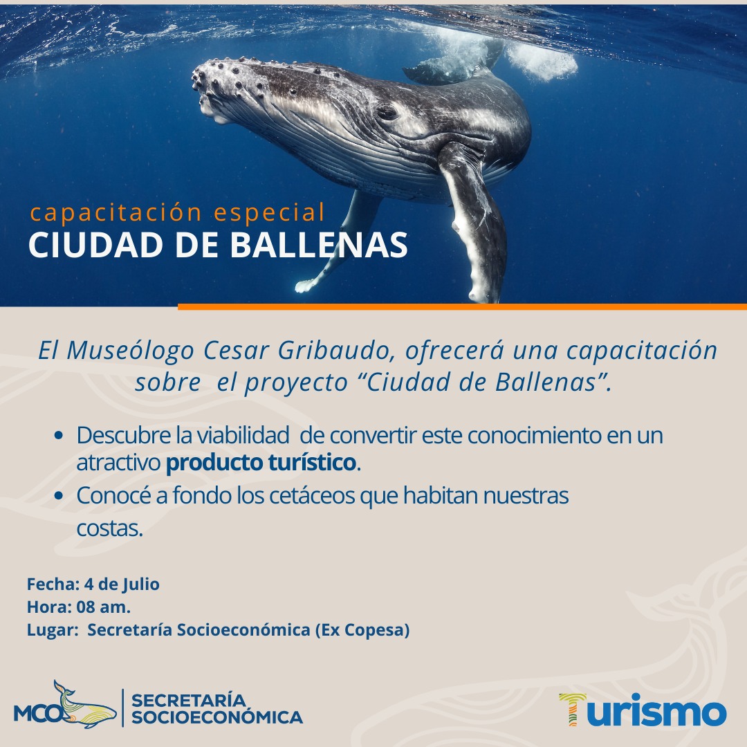 Este jueves se desarrollará una capacitación sobre el proyecto “Ciudad de Ballenas”
