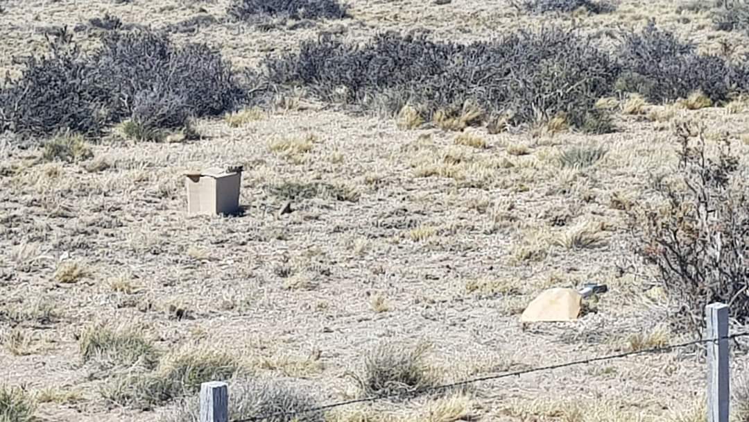 Una pala y una caja de zapatos: el misterioso hallazgo cerca del cadáver que encontraron en Las Heras