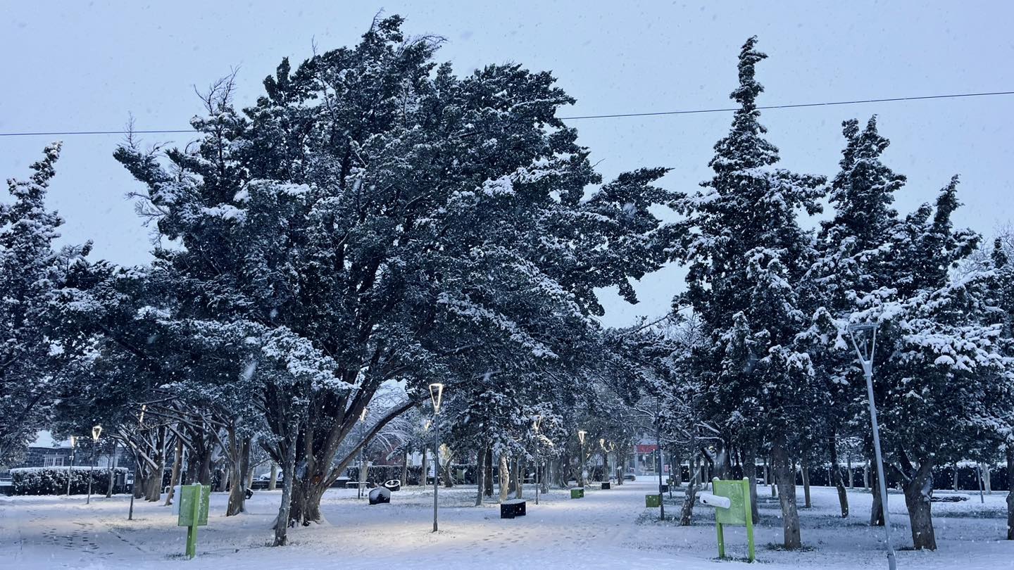 Temporada invernal: Conocé hoy el estado de rutas provinciales y nacionales en Santa Cruz