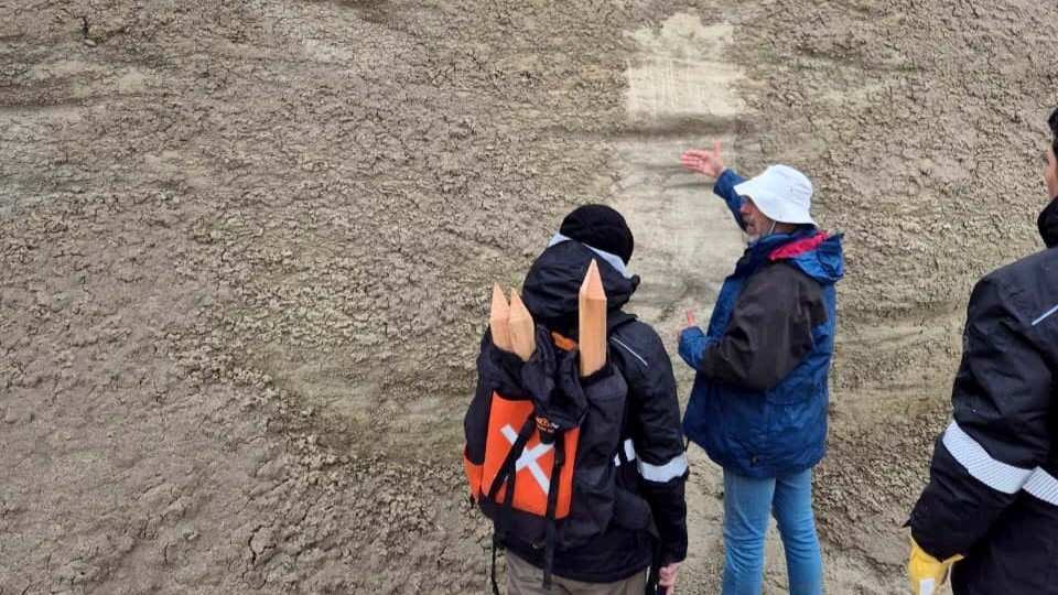 Denuncian irregularidades en planes de ahorro de Multigol : 