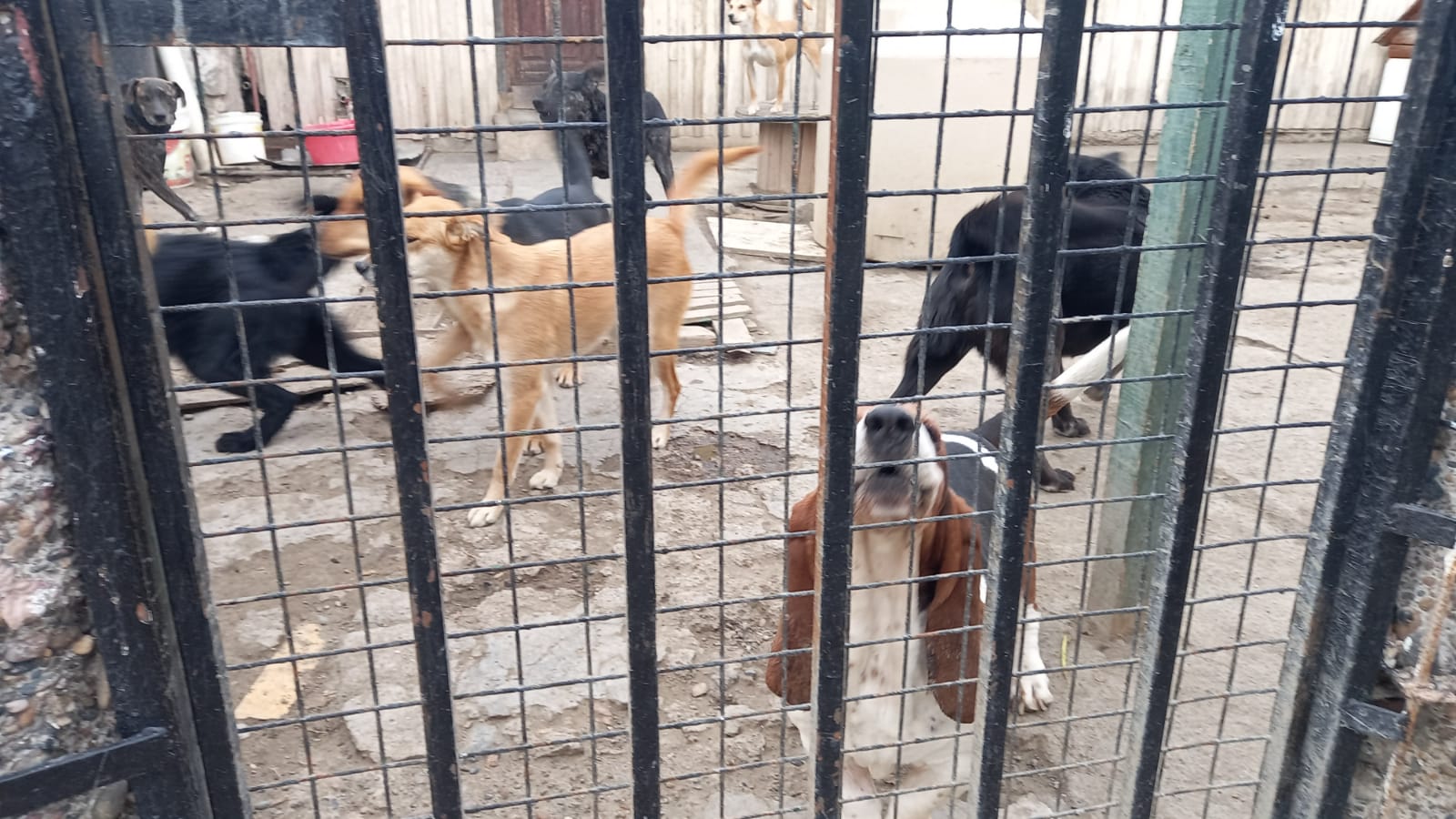 Educación presentó la guía 