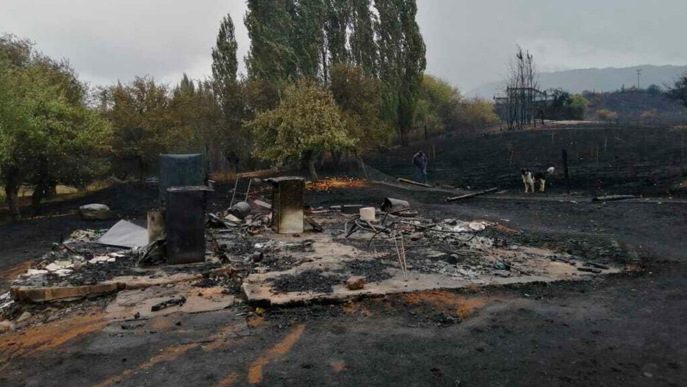 La vida en el incendio: 