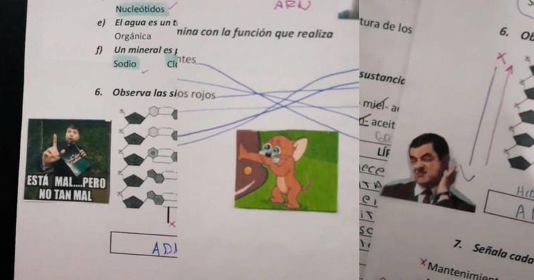 Una maestra se hizo viral al corregir evaluaciones con memes: 