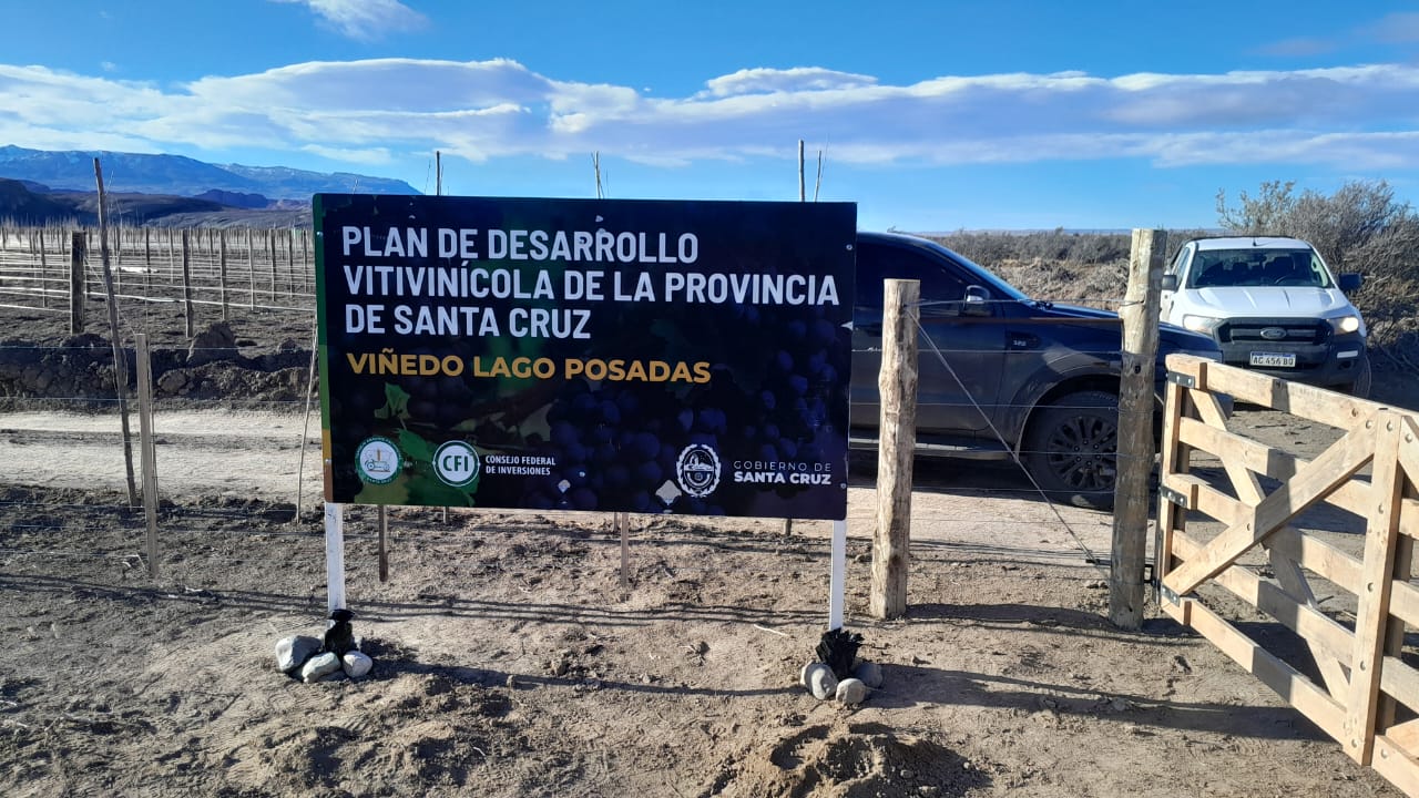 Santa Cruz ya tiene su propio viñedo en Lago Posadas