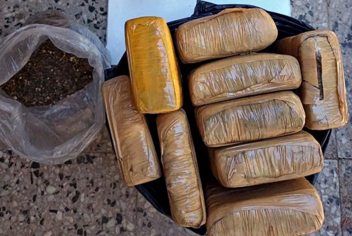 Tiene 89 años, fue a su patio a buscar paltas y se encontró 9 paquetes de marihuana: pensó que eran ladrillos