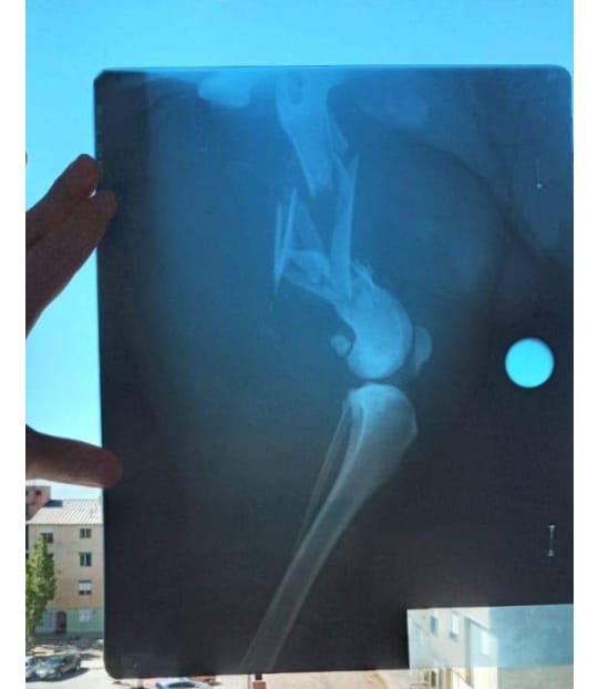 La gestión de Claudio Vidal invierte 190 millones de pesos para llevar agua al barrio 22 de Septiembre