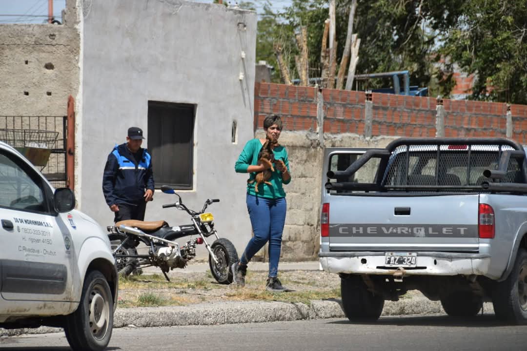 Rescataron al cachorro que un empleado municipal ahogó en un balde de agua
