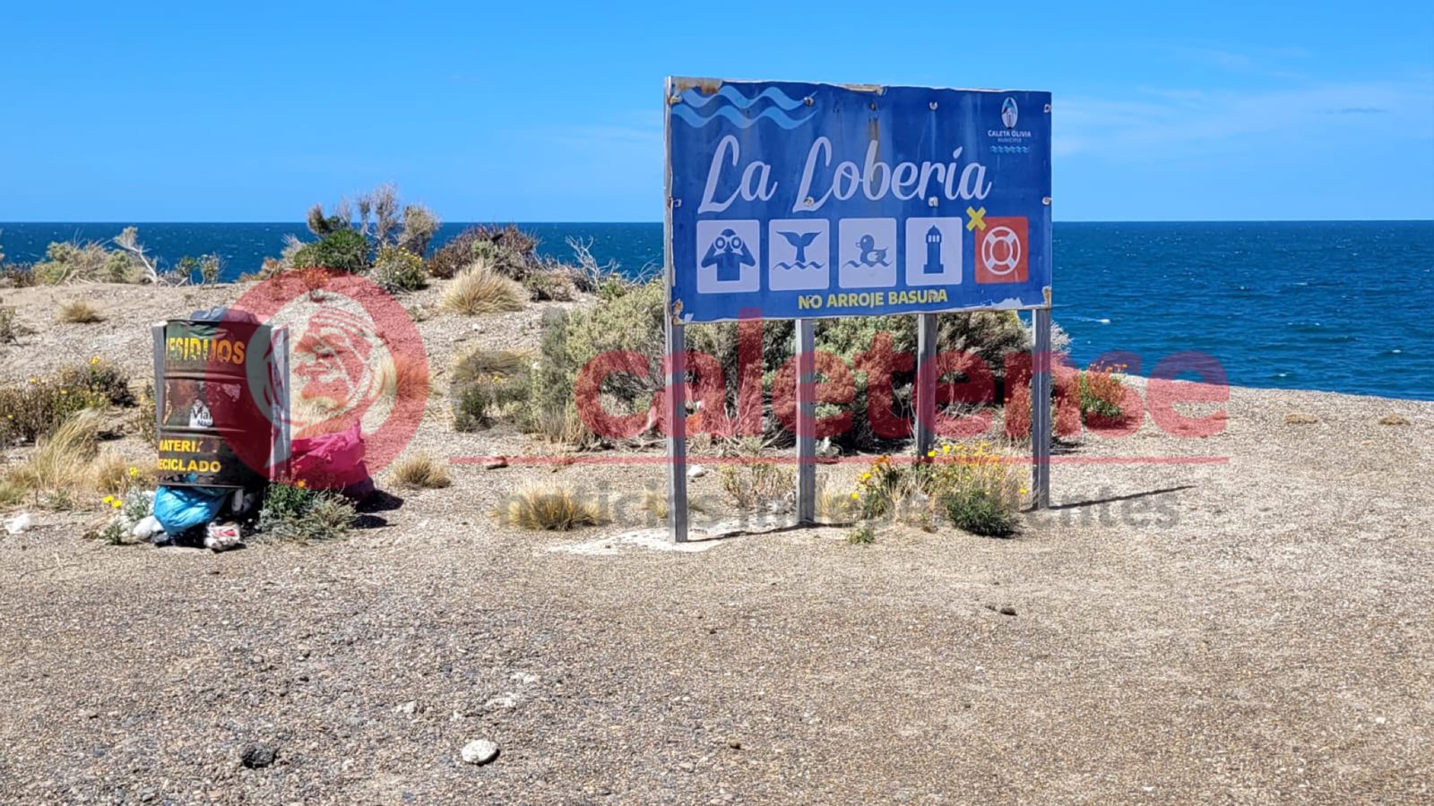 Fundación Cadace reclama la urgente limpieza de la Ruta Nacional Nº3