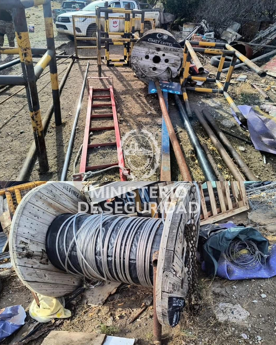 El guanaco en Santa Cruz: entre el desafío ambiental y su potencial nutricional