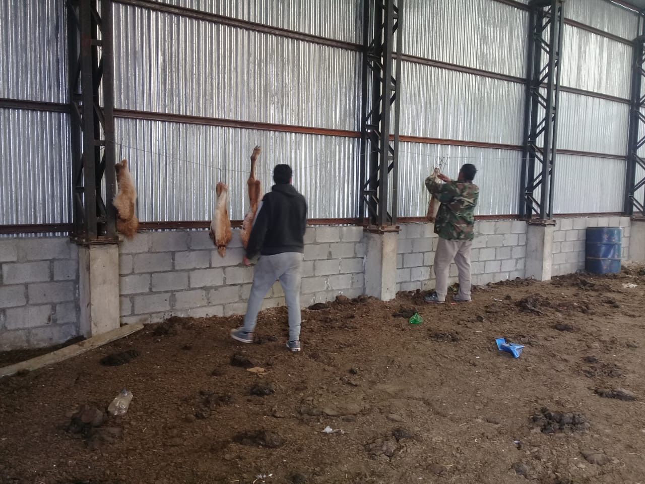 Exportaciones pymes: CAME y PromArgentina consolidan modelo de comercio con el sur de Brasil