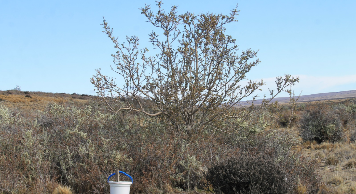 La Justicia sobreseyó a Juan Carlos Molina y a directivos de la fundación