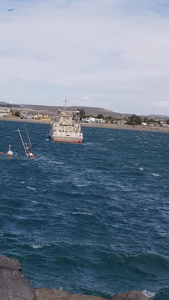 Desmantelan invernadero clandestino de marihuana en barrio Rotary XXIII