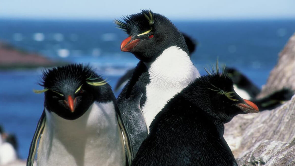 Turismo: autoridades trabajan en una 