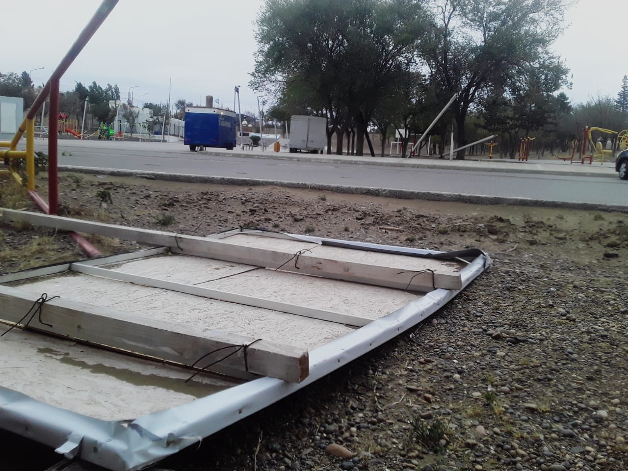 Tras el temporal de viento, el director de Protección Civil marcó hay palmas 