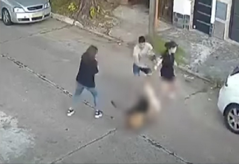 Video: sacó a pasear a su caniche y lo mató un ovejero alemán
