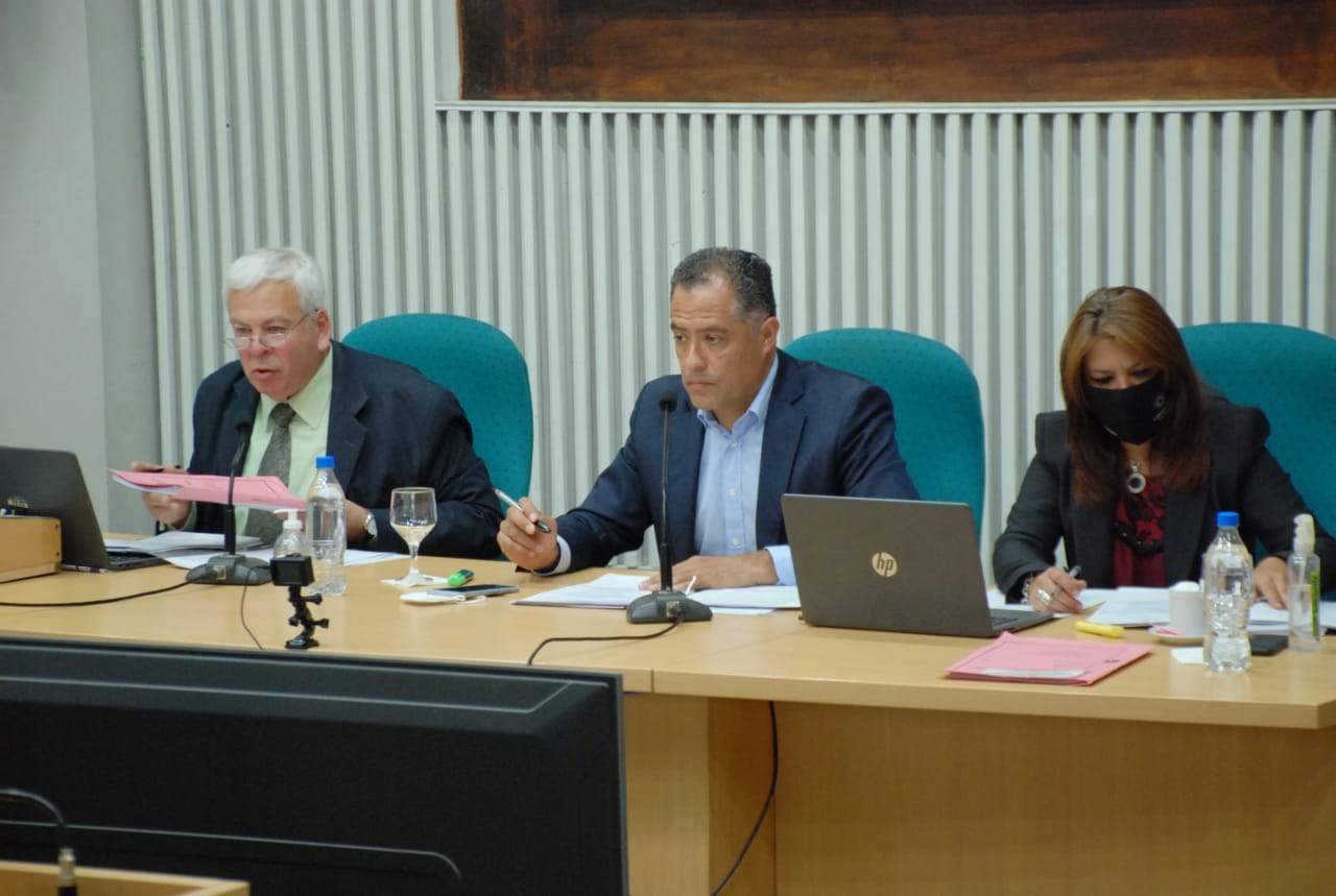 1° sesión: los diputados pidieron al ministerio de salud vacunar a personas con discapacidad que presenten comorbilidades