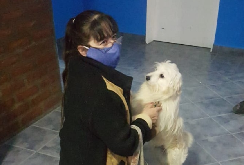 Encontró un perro en la vía pública, lo adoptó y luego se lo regresó a su dueña