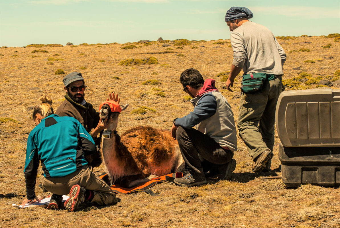 Exportaciones pymes: CAME y PromArgentina consolidan modelo de comercio con el sur de Brasil