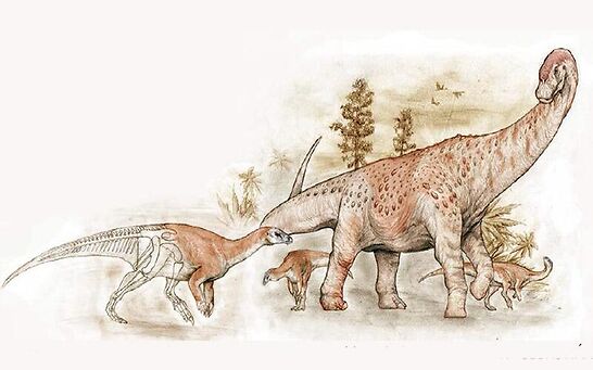 Un nuevo dinosaurio fue descubierto al sur de El Calafate