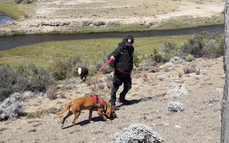 Intensa búsqueda para dar con el paradero de un hombre con esquizofrenia en Perito Moreno: Mario Curin desapareció a fines del año pasado