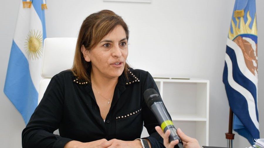 Rasgido: “Queremos que nuestros profesionales santacruceños trabajen en la provincia”