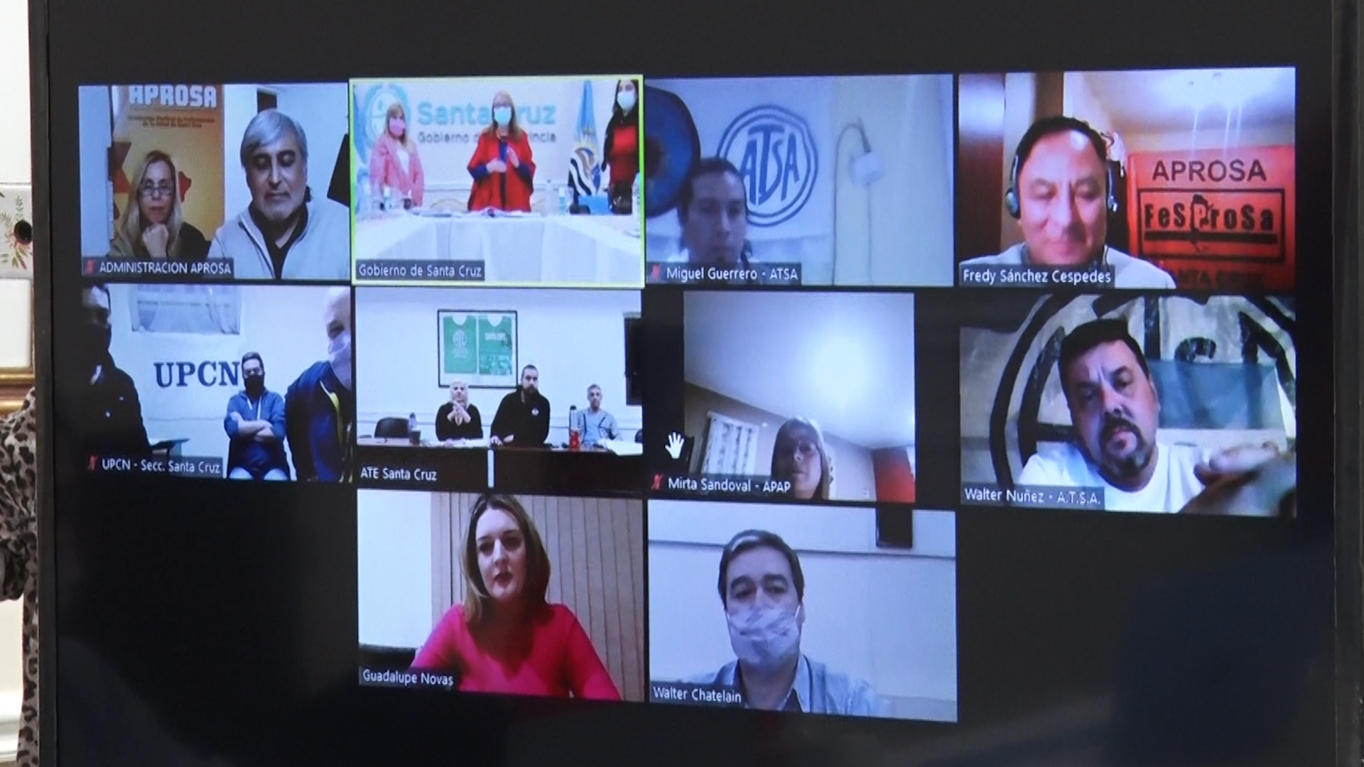 El guanaco en Santa Cruz: entre el desafío ambiental y su potencial nutricional