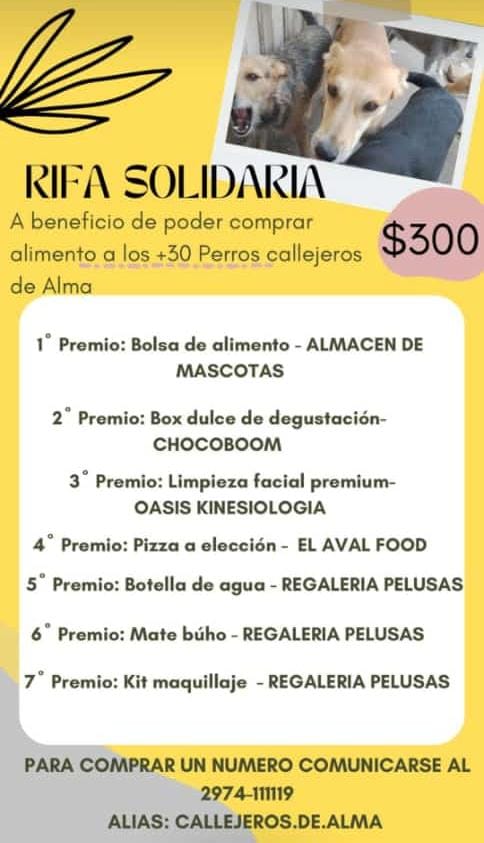 Educación presentó la guía 