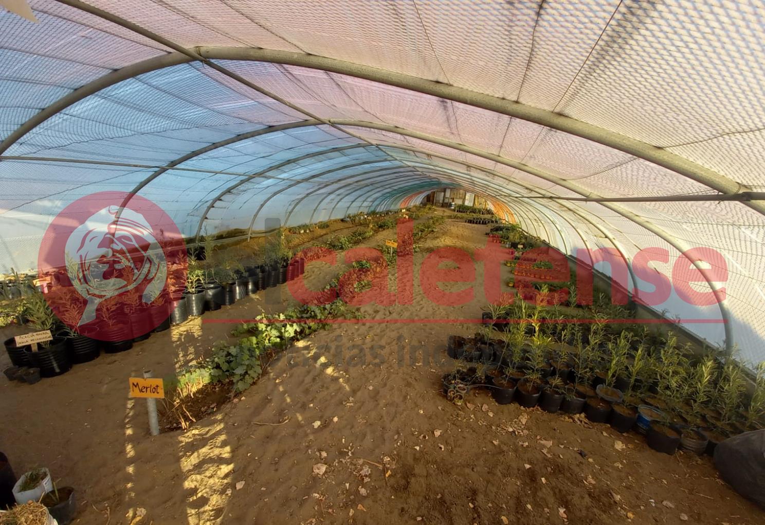 Brindarán taller de compost y elaboración de composteras en el Vivero Municipal