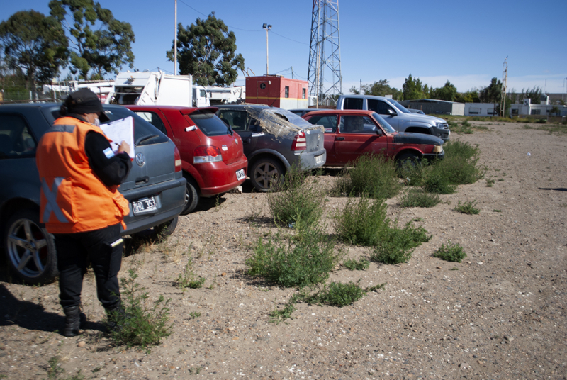 Comenzarán a subastar vehículos con más de 6 meses de secuestro