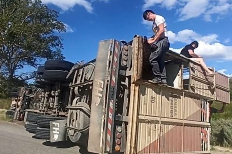 Por esquivar ciclistas volcó en la ruta y mató varios animales
