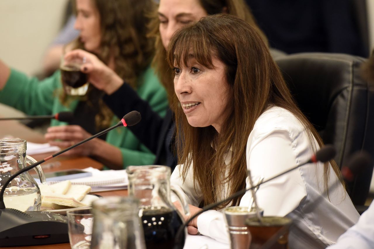 Roxana Reyes denuncia ajuste en las áreas de Niñez