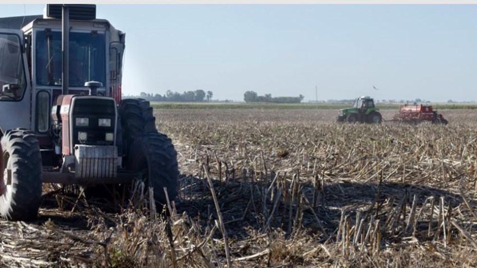 Por la sequía, cayó 50% la liquidación de divisas de la agroindustria