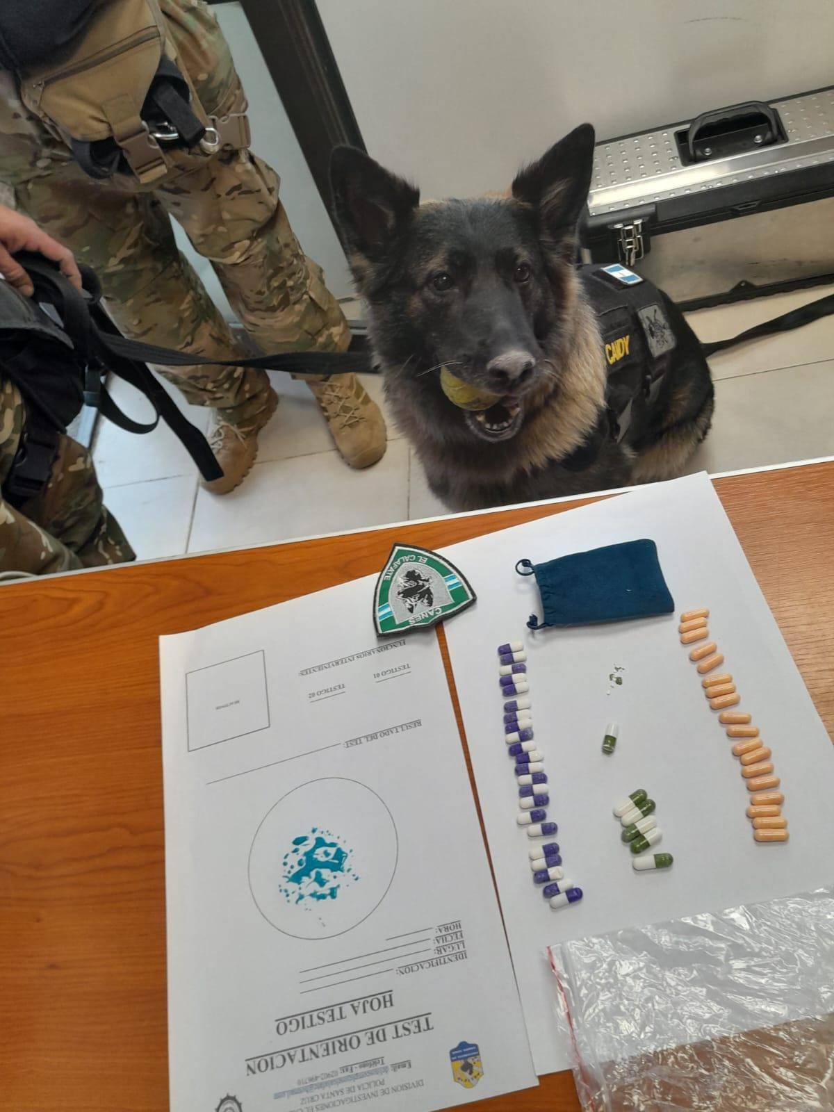 Exitoso operativo contra el narcotráfico en El Calafate