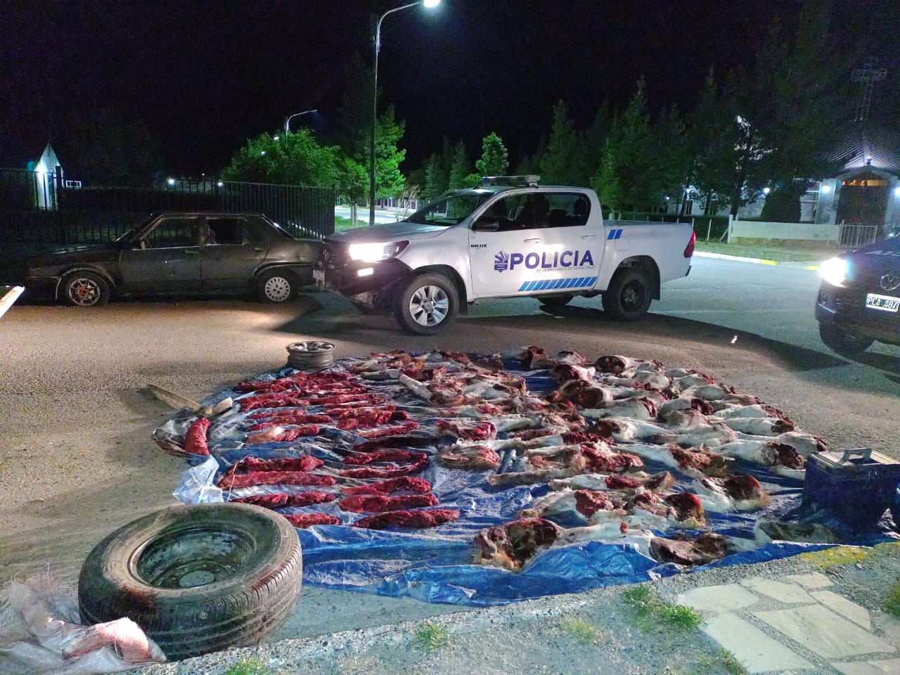 Demoraron a dos hombres con 500 kilos de carne de guanaco: uno tiene una carnicería y el otro un matadero 