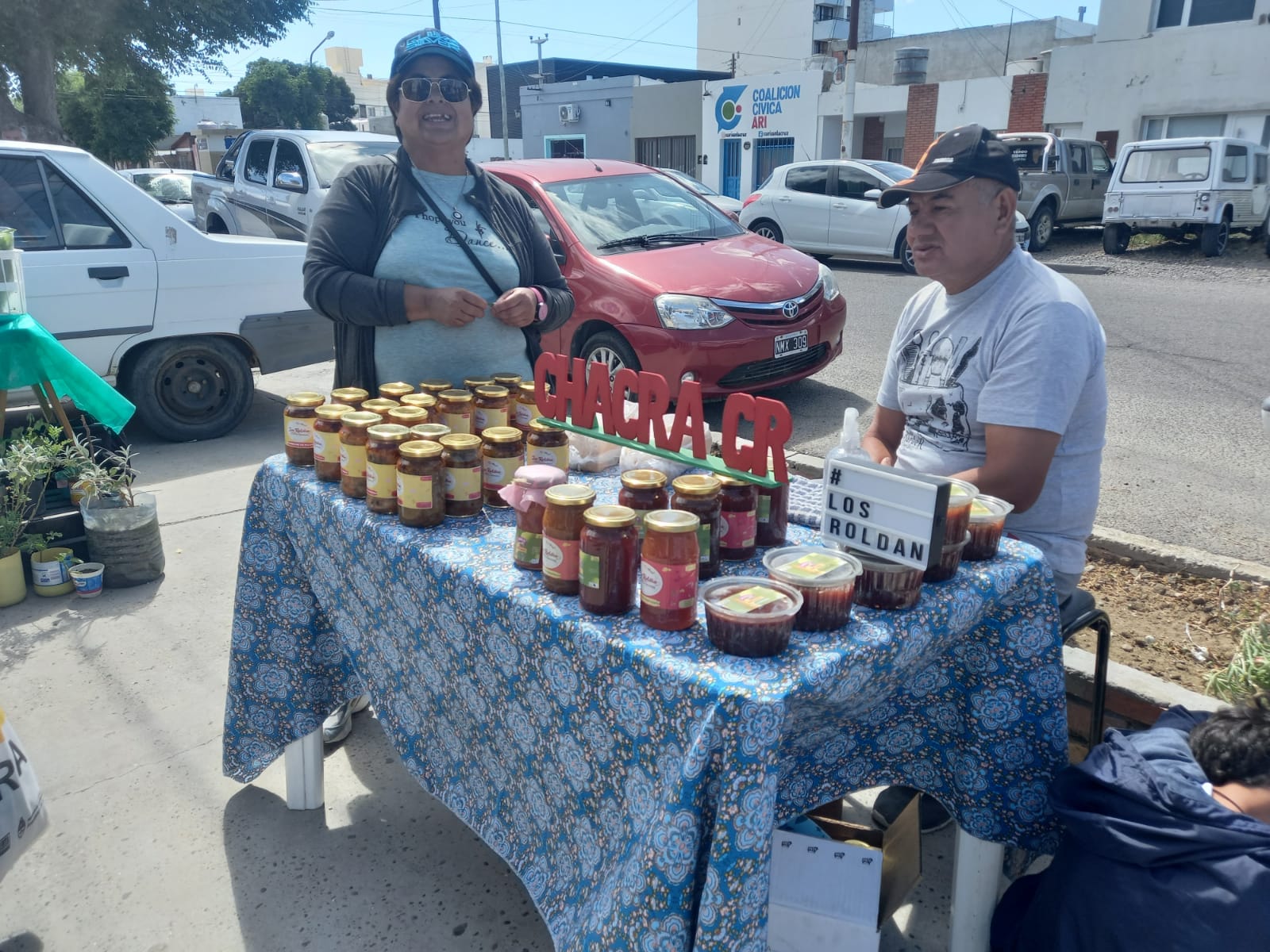 Nueva jornada de labor en comisiones en la Cámara de Diputados de Santa Cruz