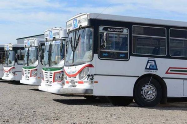 Calicate anticipó que cada vez falta menos para el regreso del transporte de colectivo