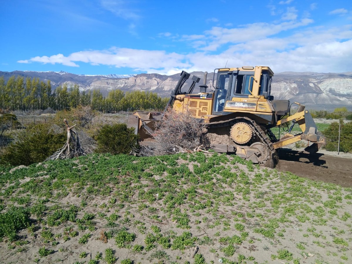 Los Antiguos: el CAP recorrió la Chacra Los Alamos y destacó la elaboración de productos regionales